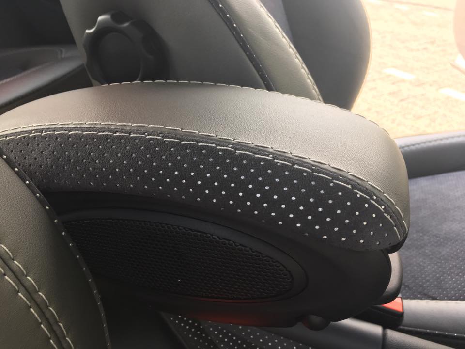 Nappa Titan in Kombi mit Alcantara Starlite perforiert 14.jpg